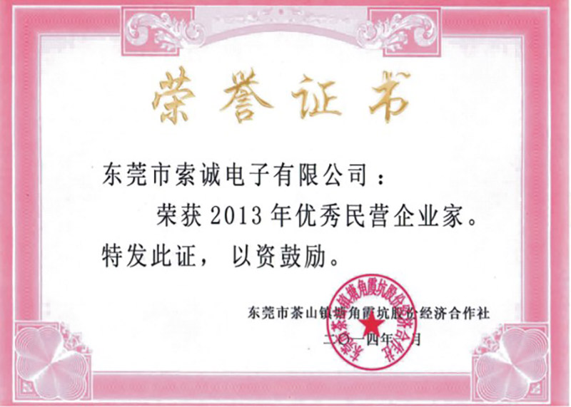 2013年優(yōu)秀民營企業(yè)家